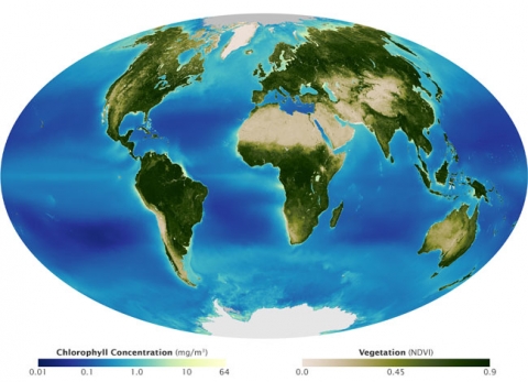 photosynthesis math lesson tv411 tv411 reading charts and graphs